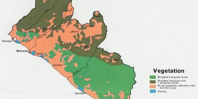 Karte der vegetation Karte von Liberia